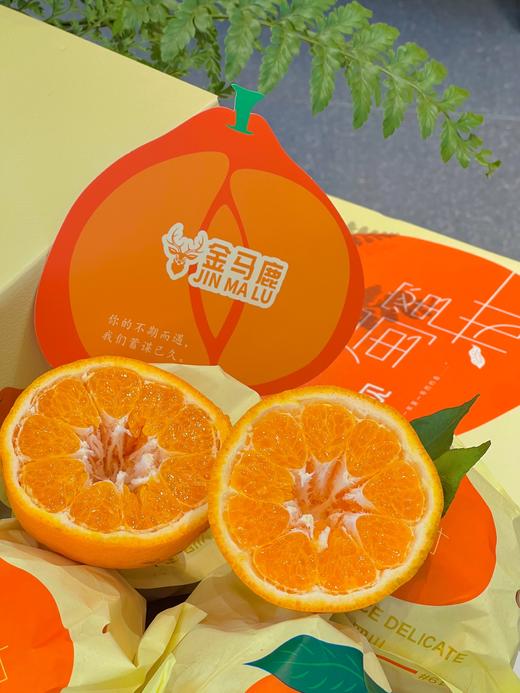 金马鹿耙耙柑大件礼盒装   柑橘 纯甜 味浓 皮薄 商品图2