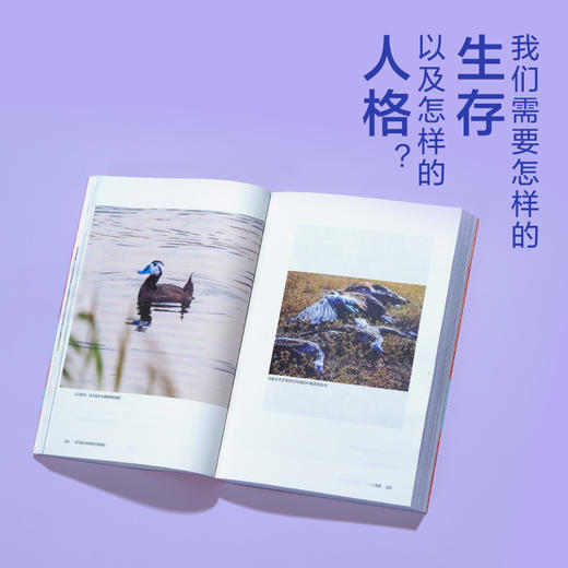 《我不能在鸟兽身旁只是悲伤》 | 三年实地探访中国生态热点，16个荒野故事串联人、动物与自然的生命脉络。 商品图3