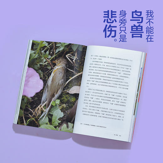 《我不能在鸟兽身旁只是悲伤》 | 三年实地探访中国生态热点，16个荒野故事串联人、动物与自然的生命脉络。 商品图8