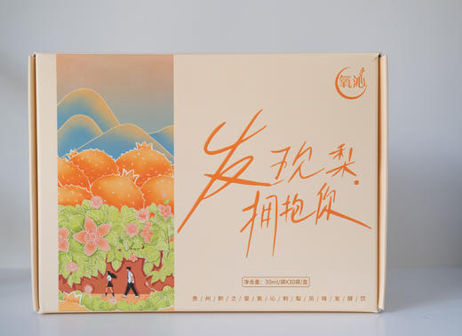 【黔南好物】氧沁刺梨风味发酵饮品 30ml*30袋 【厂家直发】 商品图5