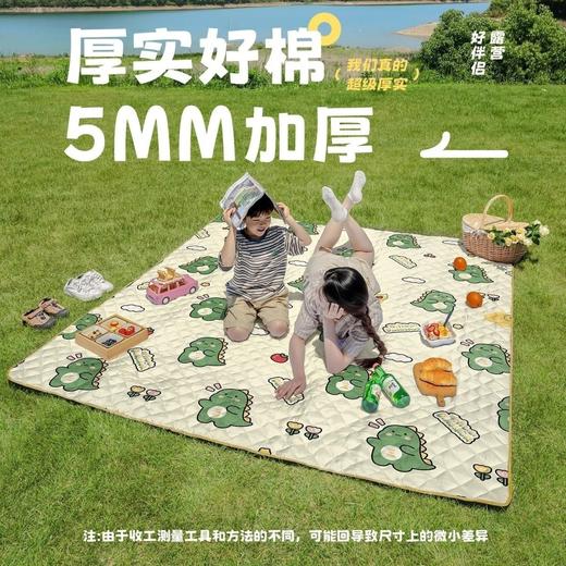 小恐龙超声波加厚野餐垫 厚实好棉5MM加厚 度假双层铝膜 户外地垫便携防潮防水野炊露营草坪地垫防潮垫 商品图0