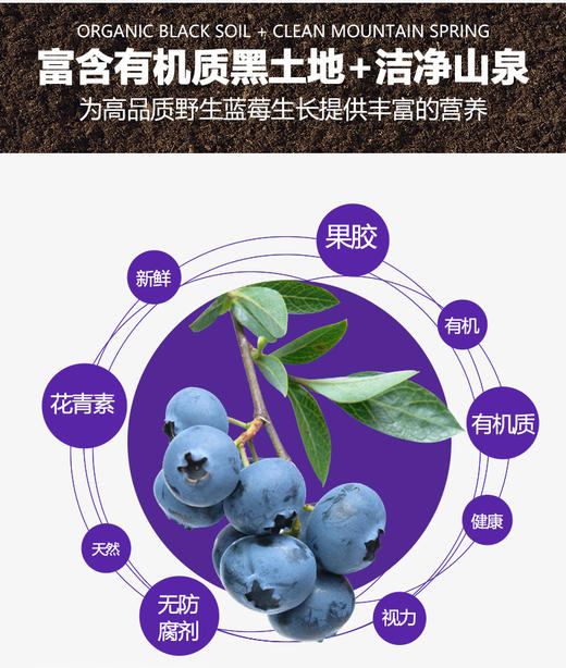 YXG 有机蓝莓干150克/袋 商品图2