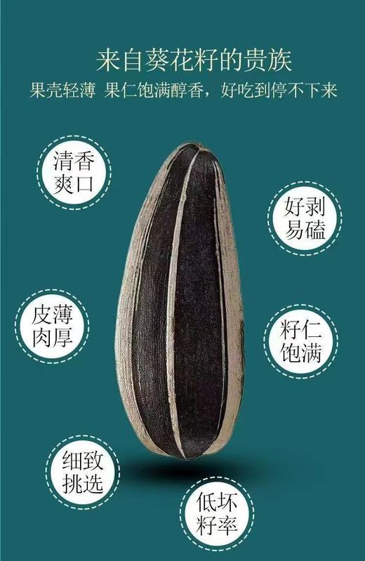 新疆都爱客原味瓜子 商品图1