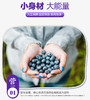 YXG 有机蓝莓干150克/袋 商品缩略图4
