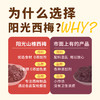 【米马团购】食味的初相 山楂西梅干50g*3袋 加赠火山西梅1袋 商品缩略图4