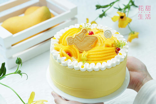芒芒百香果•奶油蛋糕 商品图0