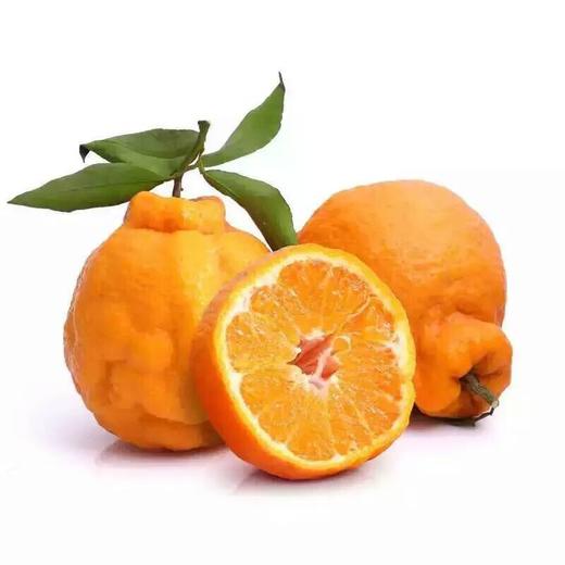 不知火蜜柑 约1kg/份 商品图0