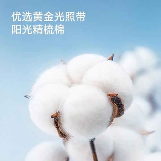 【4双实惠装】女童短袜莱卡A类精梳棉四双装袜子安奈儿童装JG527238 商品图3