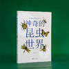 《神奇的昆虫世界》 商品缩略图4