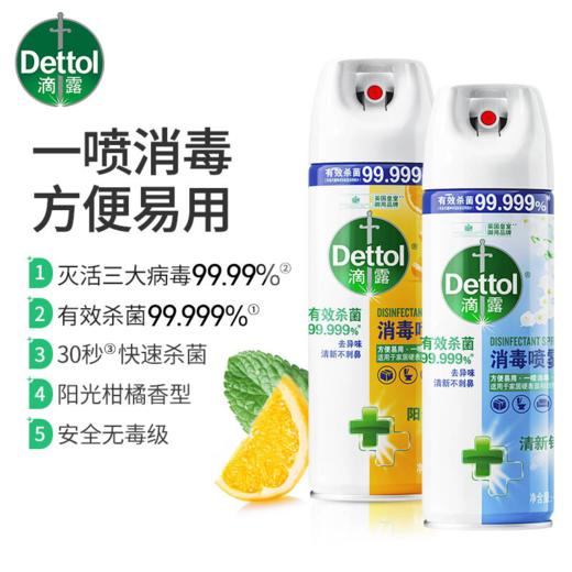 Dettol滴露消毒喷雾 阳光柑橘454ml+清新铃兰454ml 商品图0