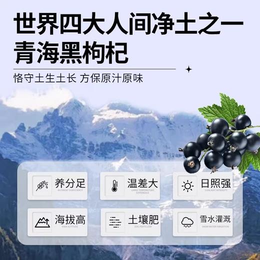 【秒杀拍一发二保质期到26.7月介意慎拍】可益康黑果枸杞原浆饮品30ml*10/盒*2 商品图2