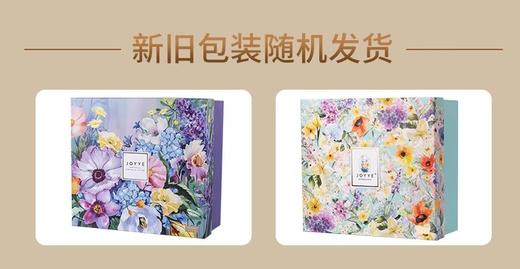 JOYYE花园茶具9件套套装 商品图1