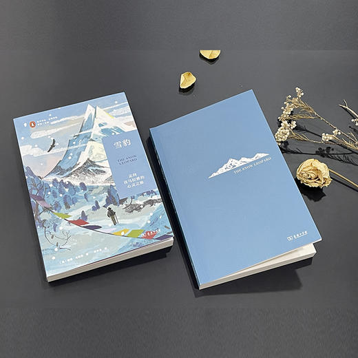 远方译丛12种 团购优惠 赠企鹅设计帆布袋，共30个，赠完为止（单本下单链接） 商品图4