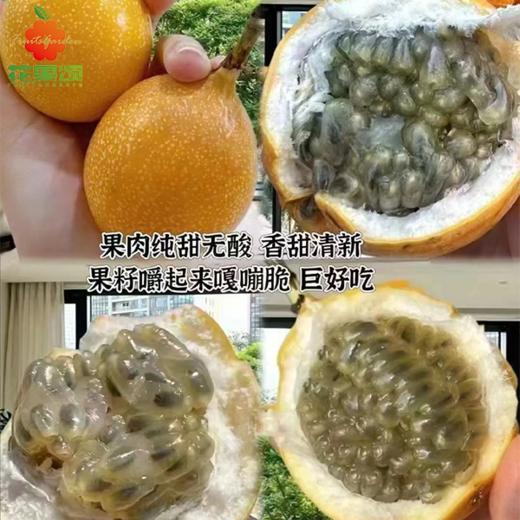 【掌柜推荐】西双版纳热情果 纯甜无酸 1个约110g 商品图0