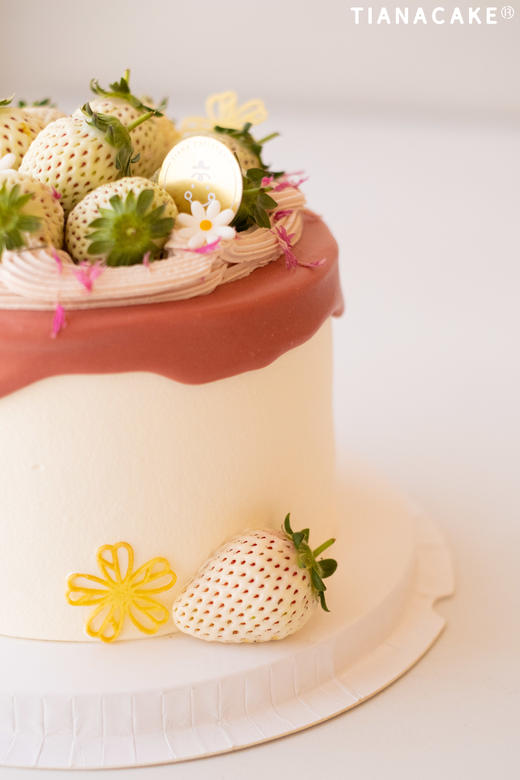 法芙娜灵感草莓 商品图2