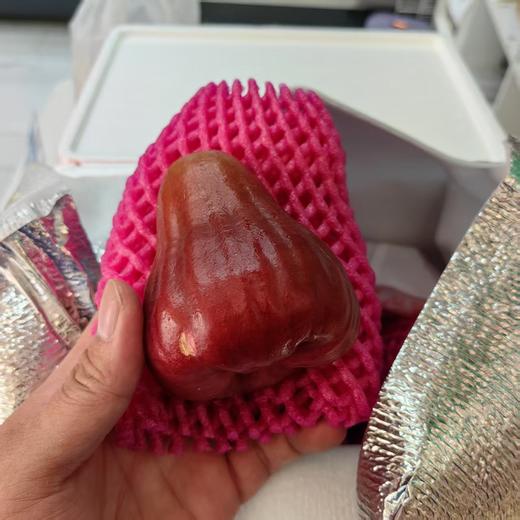 【宅享装】南鹿一号莲雾 · 1斤装 商品图2