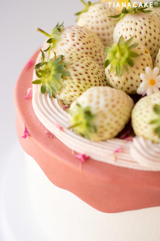 法芙娜灵感草莓 商品图1