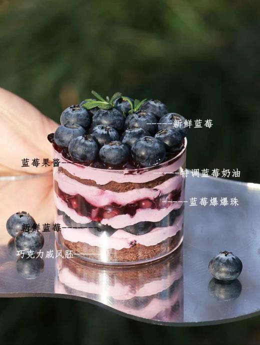 春游多口味小蛋糕任选口味 商品图10