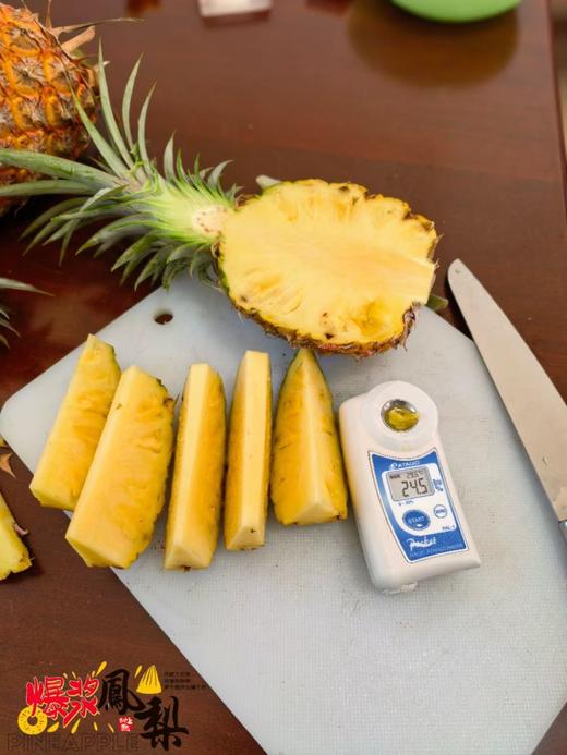 凤梨先声金钻凤梨 海南产区 商品图8