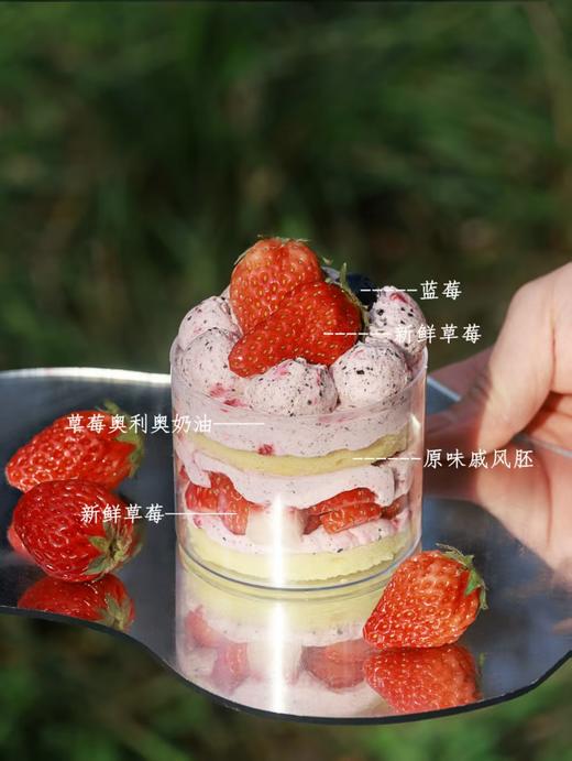 春游多口味小蛋糕任选口味 商品图9