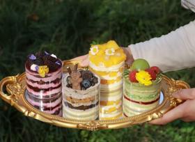 春游多口味小蛋糕任选口味