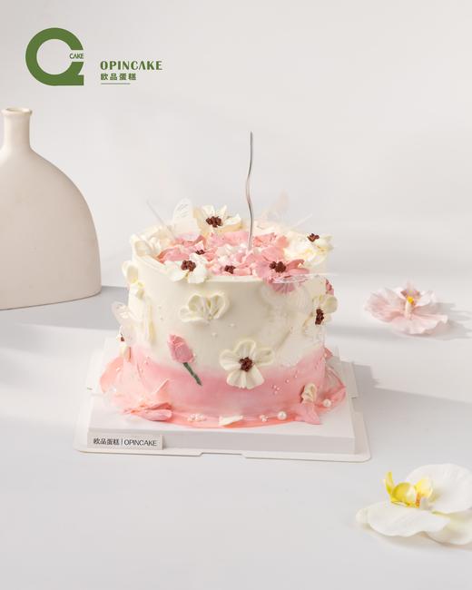 白色蝴蝶花 商品图0