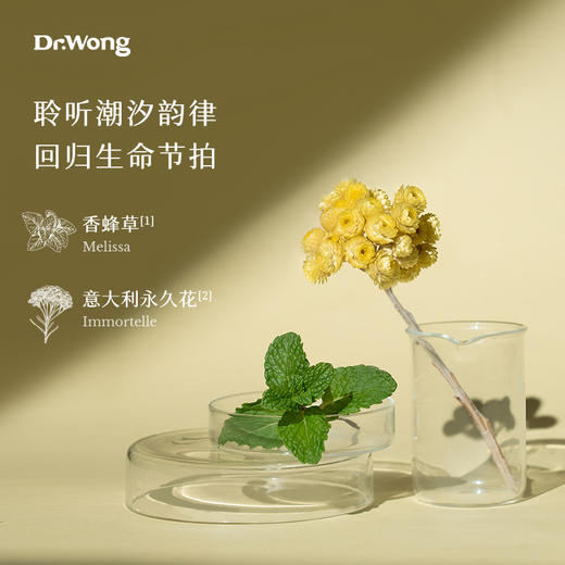 「香蜂草与乳香 」胸部按摩油 商品图2