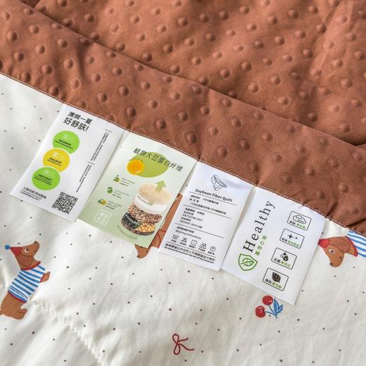 夏季【a类夏凉被水洗棉】豆豆空调夏被 儿童幼儿园学生宿舍单人夏被子  商品图3