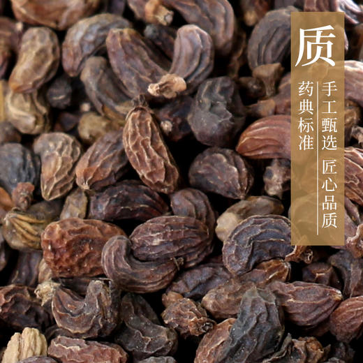 女贞子 康美中药饮片 独立小包装 商品图2