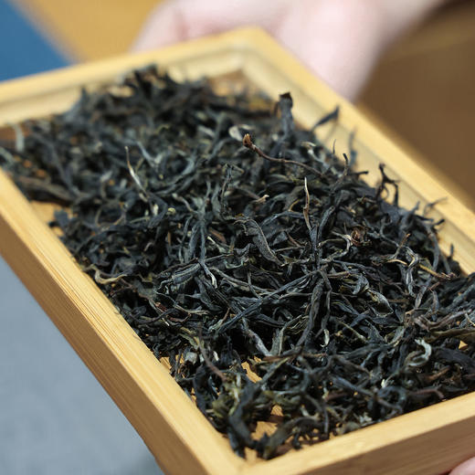 2026易武春茶（300克） 商品图0