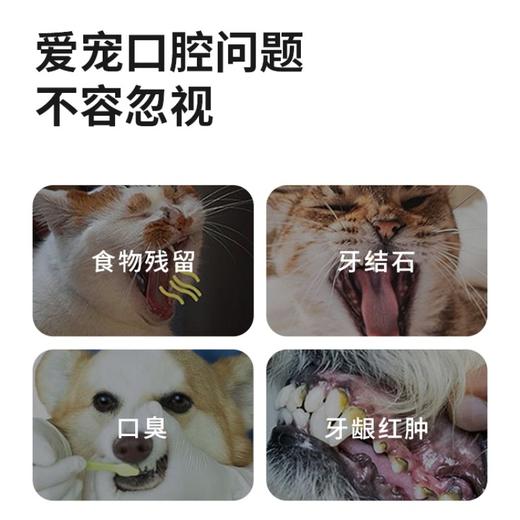 维可派口腔清洁护理系列 商品图3