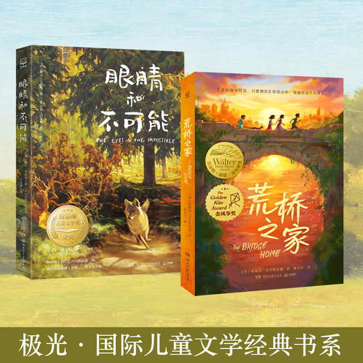 极光国际儿童文学经典：眼睛和不可能＋荒桥之家 儿童文学故事 商品图0