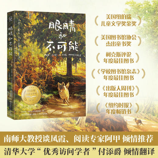 极光国际儿童文学经典：眼睛和不可能＋荒桥之家 儿童文学故事 商品图2