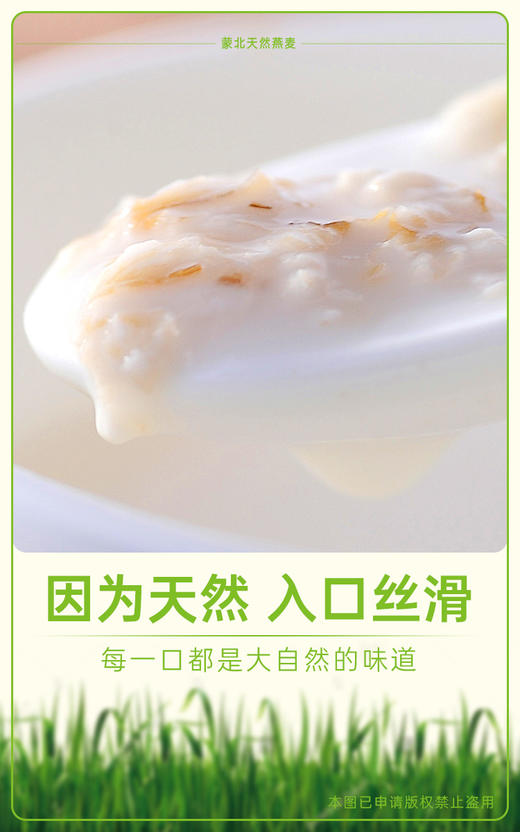 YXG蒙北天然燕麦片 商品图2