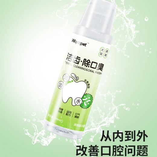 维可派口腔清洁护理系列 商品图1