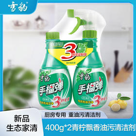 雪豹 强力型厨房重油污净清洁剂2瓶400g*2 （青柠飘香）3321A