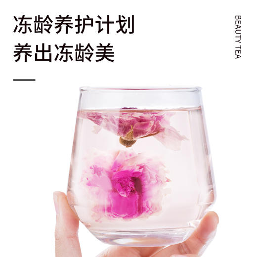 平阴重瓣玫瑰花 无硫低温烘干保留整朵玫瑰花 解开千千结肝气舒展 驱走郁闷肝 花茶袋泡茶办公室 玫瑰花 20g/瓶 商品图3