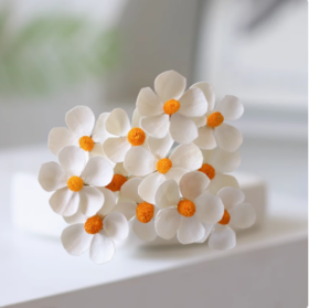 永生花紫罗兰--千日红