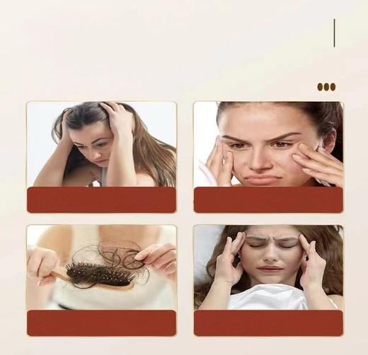 国药药材 灵芝酸枣仁茶 商品图3