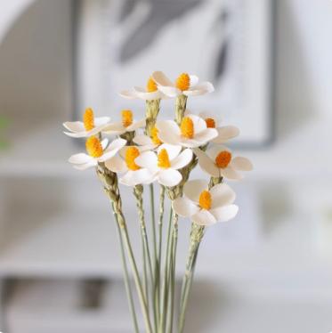 永生花紫罗兰--千日红 商品图5