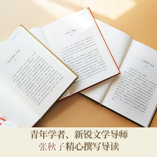 纪德爱情三部曲（诺奖获得者纪德代表作，青年翻译家、学者全新译本，全新装帧） 商品图3