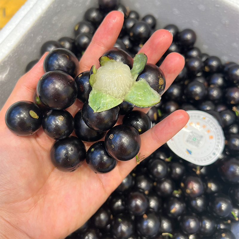 嘉宝果（精品果）甜蜜蜜口感棒棒哒