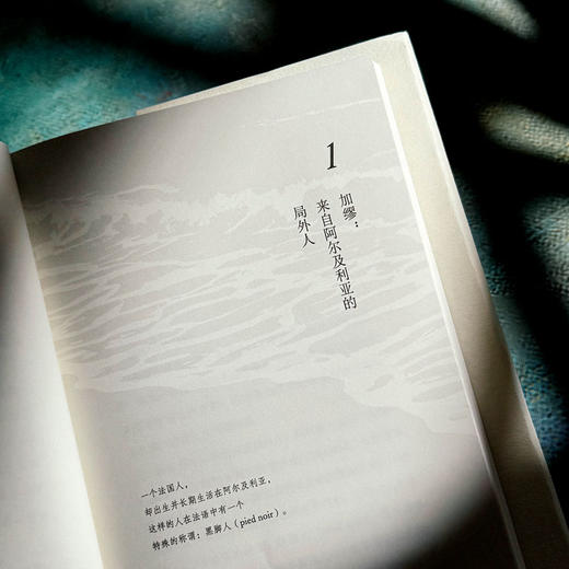 从荒诞到反抗 导读加缪《局外人》和《鼠疫》余中先 谜文库 商品图8