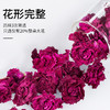平阴重瓣玫瑰花 无硫低温烘干保留整朵玫瑰花 解开千千结肝气舒展 驱走郁闷肝 花茶袋泡茶办公室 玫瑰花 20g/瓶 商品缩略图2