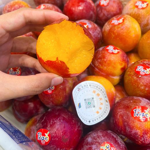 进口太阳李 李子 甜蜜爆汁 商品图5