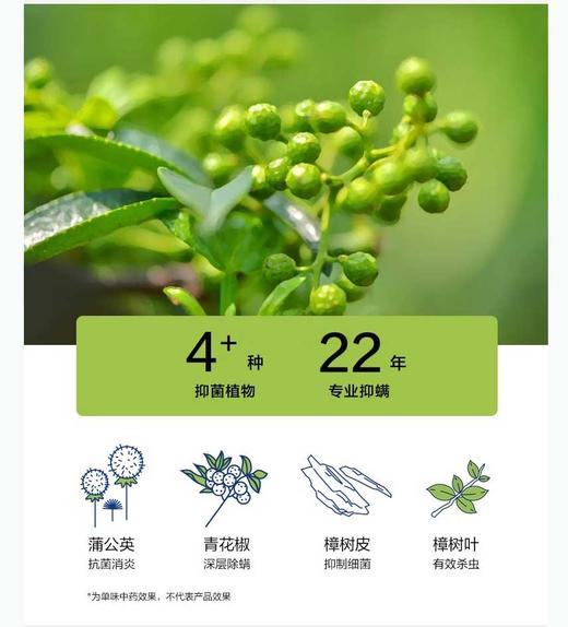 热销【有棵树】成毅同款 植物停螨衣 情侣款家居服（女款YFPJ1002男款YFMP1002） 商品图5