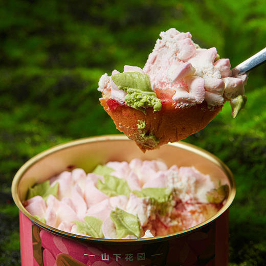【非卖品服贸会专属】山下花园罐子蛋糕赠品1罐（口味随机） 商品图4