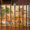《中国大历史》精装珍藏刷边版（全10册），史学绝唱，力能扛鼎！四位史学泰斗，讲透中华5000年大历史！ 商品缩略图3