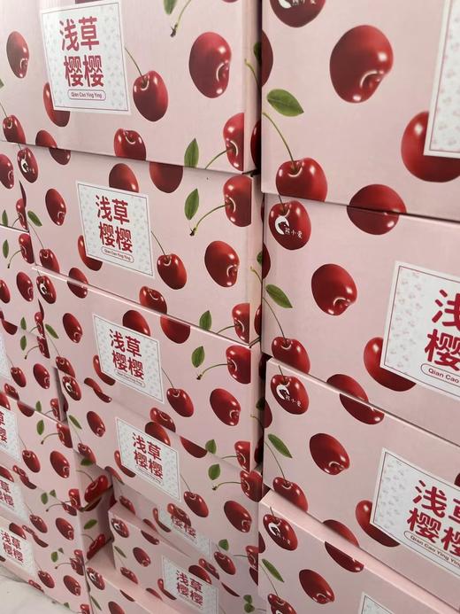 大连大樱桃 商品图8