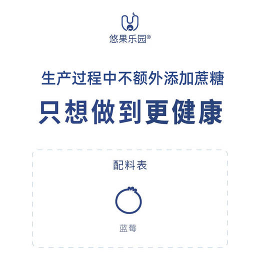有机蓝莓果干 丰富花青素 辽宁射击射箭运动员指定用品 商品图1